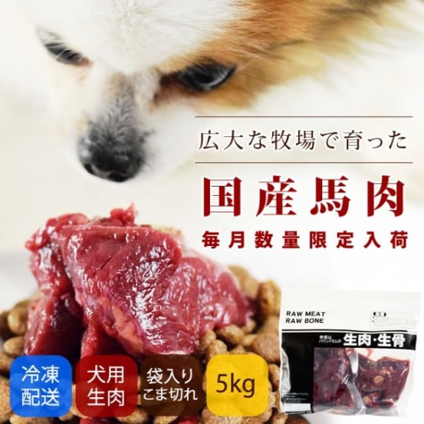 犬用 生馬肉　冷凍　国産馬肉 こま切れ 5kg 【まとめ買い】【a0301】※愛猫にもご利用いただけます|冷凍商品