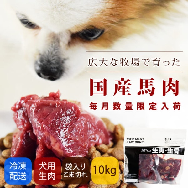 犬用 生馬肉　冷凍　国産馬肉 こま切れ 10kg 【まとめ買い】【a0301】※愛猫にもご利用いただけます|冷凍商品