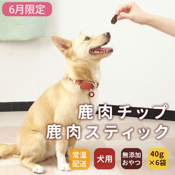 犬用おやつ 鹿肉スティック／チップ 無添加ジャーキー｜ドッグフードの
