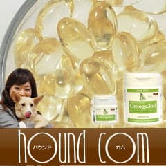 ���ѥ��ץ���ȡ�̵ź�å��ᥬ���������a0012��