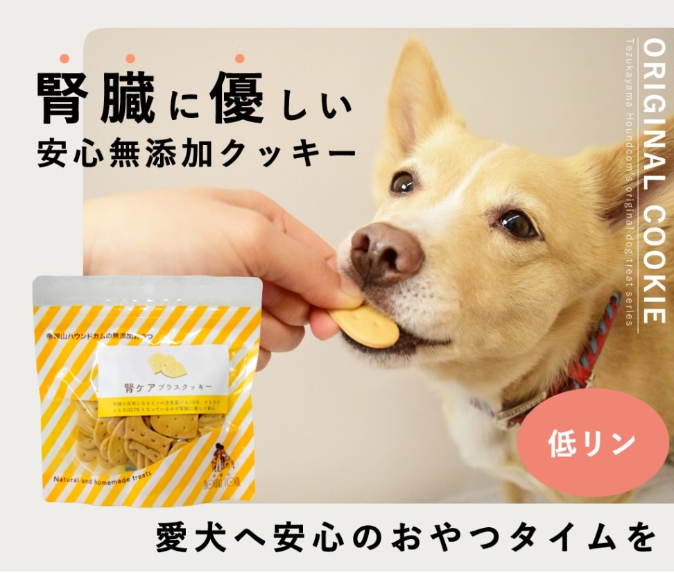 犬 腎臓ケア ドッグフード・おやつ詰め合わせ83点 21,000円相当 000000005098_mrW0p7C.jpg