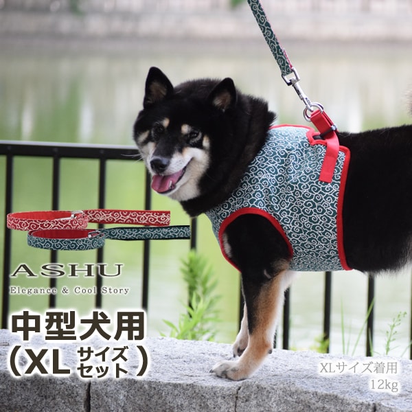 ASHUウェアハーネス 唐草セット XLサイズ(中型犬用）