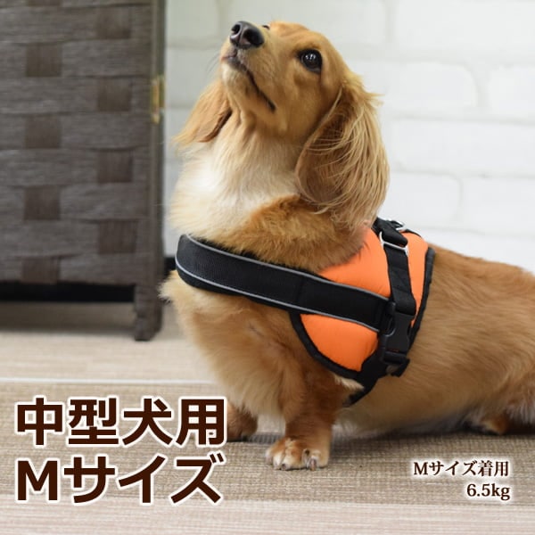  CANIN 中型犬 成犬用 M ミディアム アダルト（中型犬専用フード 成犬用） – 【ロイヤル