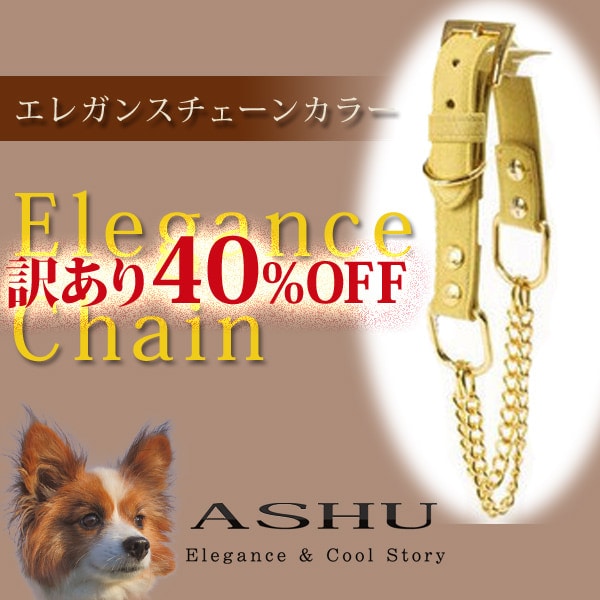 �淿���Ѽ��ءá�������� ASHU�����쥬�󥹥������󡡥��顼��M��������