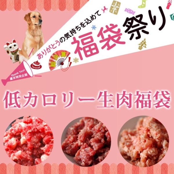 �������̴���������ӡ��㥫���꡼����ʡ�ޡ�������������ʡ�ޡ�