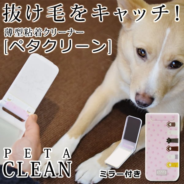 Ǵ奯꡼ʡ ڥ꡼ ڸǭȴӡӡ