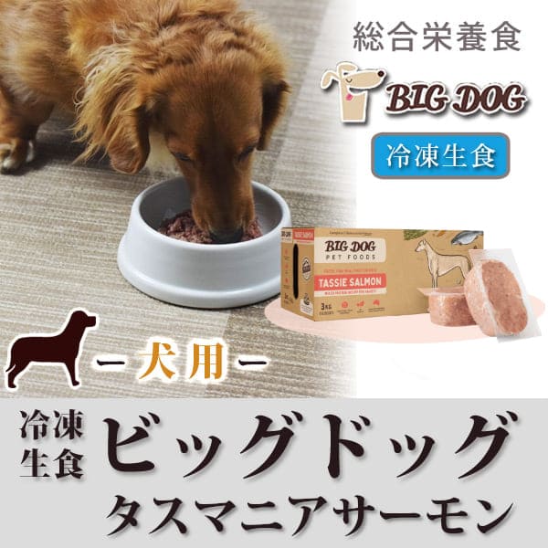 犬用 生食｜ビッグドッグ 冷凍生食【フィッシュ】12枚入 オメガ3と