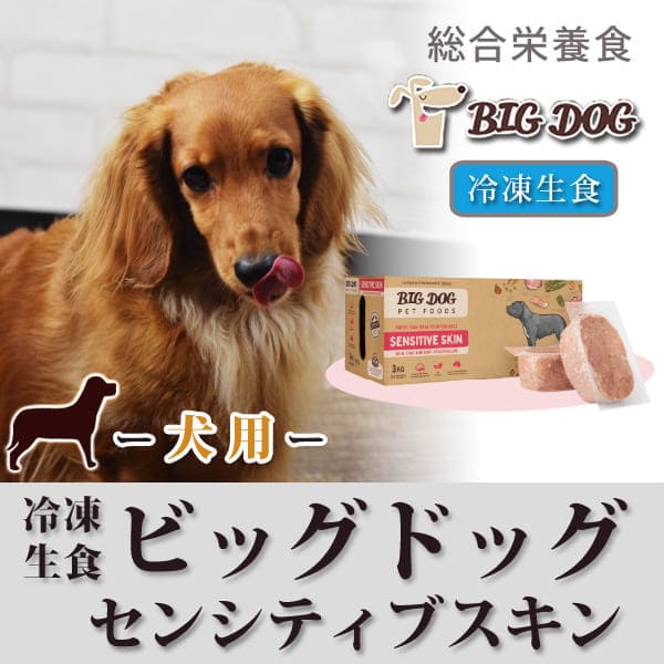 犬用 生食｜ビッグドッグ 冷凍生食【敏感肌用】12枚入 オメガ3と