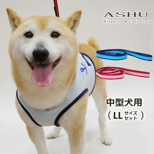 ASHUウェアハーネス水玉＆リードセット LLサイズ(中型犬用)