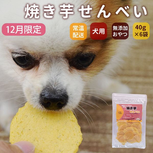 ��12�����۸��Ѥ���ġð����ѡ��Ƥ��򤻤�٤���5�ޥ��å�+1��