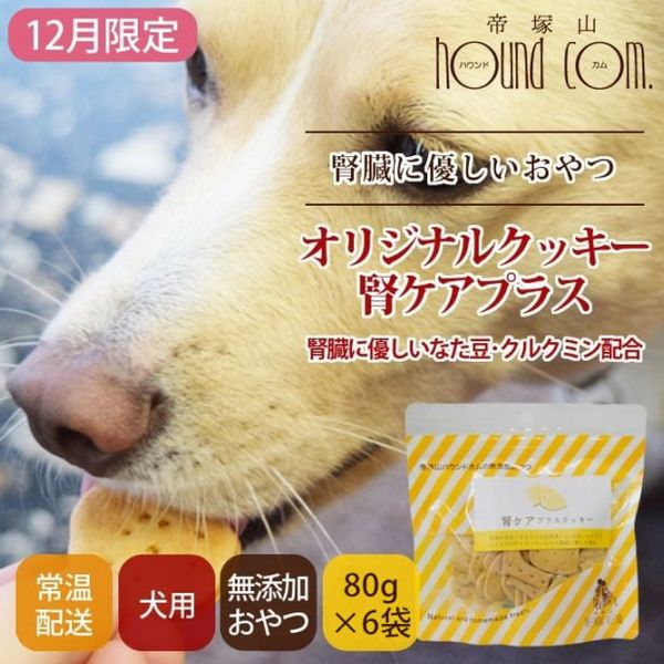 ��12�����۸��ѥ��å����å��ꥸ�ʥ륯�å������ե����ץ饹��5��+1��