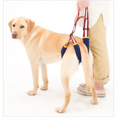 犬用歩行補助ハーネス LaLaWalk 小型犬 ダックス用 サポーターパッド