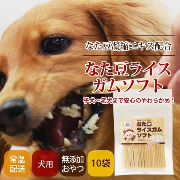 ���Ѥ���ġäʤ�Ʀ�饤�����ॽ�ե� 10�ޥ��åȡ�1�ޡ����餫��Υ���ǻҸ�����Ϸ���ޤ�