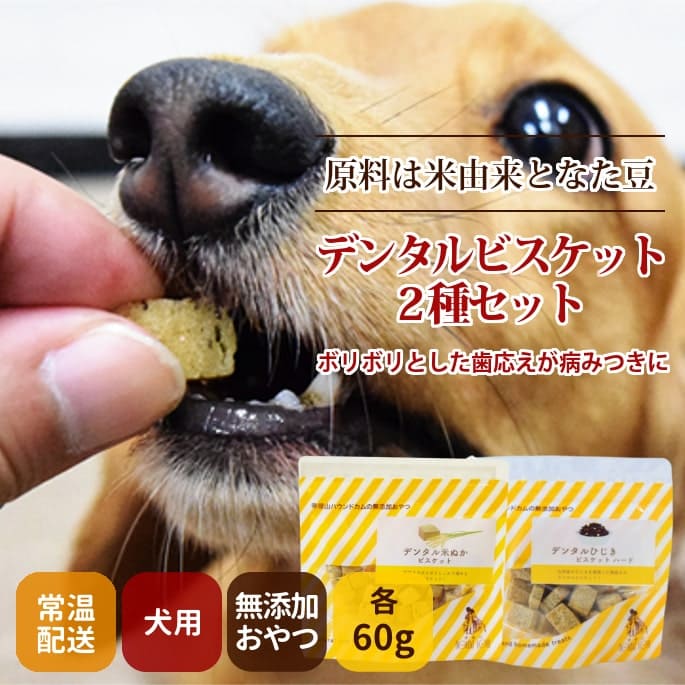 未開封プレミアムドッグフード　歯磨きガム　ビスケット 犬用おやつ｜デンタル米ぬかビスケット60g ペット用品・ドッグフードの