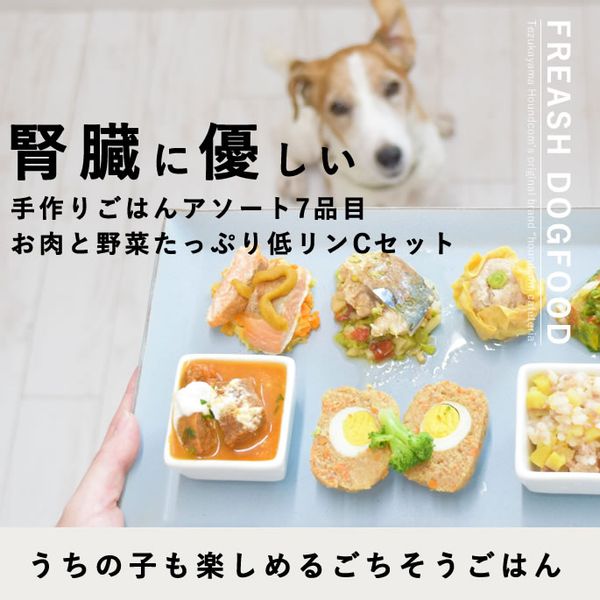 Ѽ꿩ǿ¡ͥ7CåȢåƤѹˤʤޤڥϥɥ࿩Ʋۡڿ¡ͥ󣷿