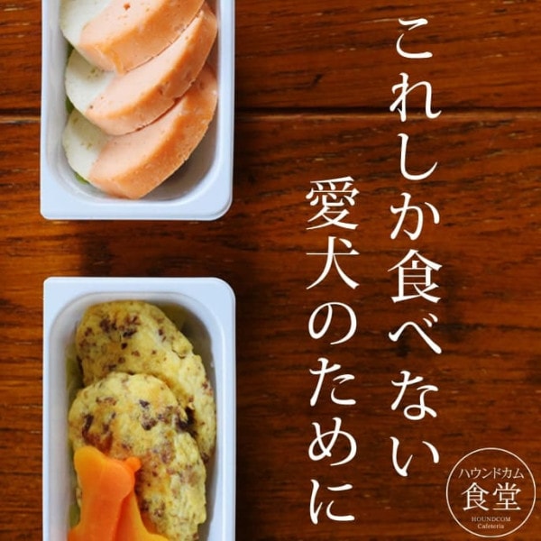 �����Ѽ��꿩���͵����ں�ñ��6�����åȡڥϥ���ɥ��࿩Ʋ��