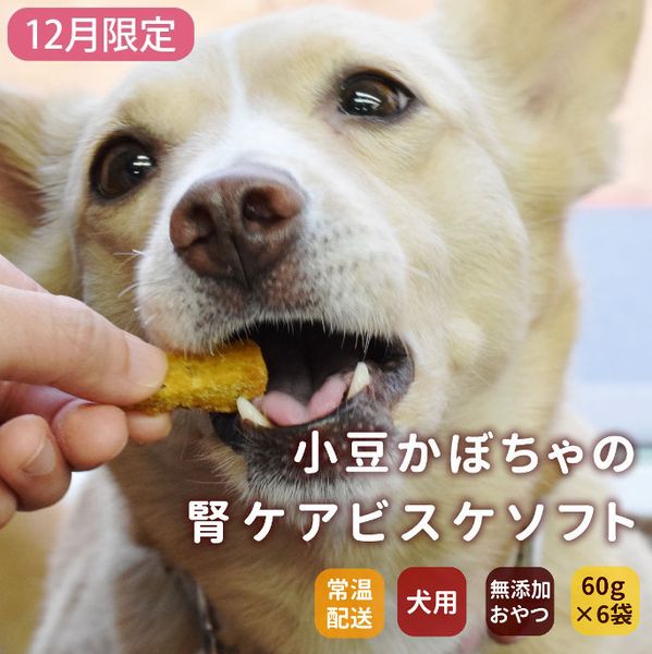 12 Ʀܤοեӥե60g 5ޥå+1ޥץ쥼