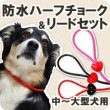 【タイムセール50％OFF　おひとり様限定1個】犬用ハーフチョーク＆リード｜ASHU ラブリーレインハーフチョーク＆リードセット　中〜大型犬用【2025ts_g01】