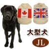 【タイムセール10％OFF】犬用服｜ワールドASHU　JL　カナダ【2025ts_g03】