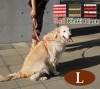 【タイムセール50％OFF　おひとり様限定1個】大型犬用ハーネス｜ASHU　STEP　ステップ　ハーネス　Ｌサイズ【2025ts_g06】