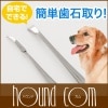 【タイムセール5％OFF】愛犬・愛猫用歯石取りスケーラー/ペンチ/【a0269】【2025ts_g06】