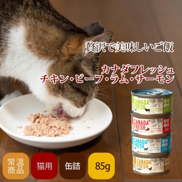 キャットフード　カナダフレッシュ　85g チキン・ビーフ・ラム・サーモン 缶詰【総合栄養食】全年齢対応