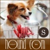 【タイムセール5％OFF】小型犬用リード｜ASHU　ピッチ　[リード]　サイズ：Ｓ【2025ts_g11】