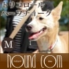 【タイムセール50％OFF　おひとり様限定1個】中型犬用ハーフチョーク｜ASHU　トリコロール　ハーフチョーク　サイズ：M【2025ts_g21】