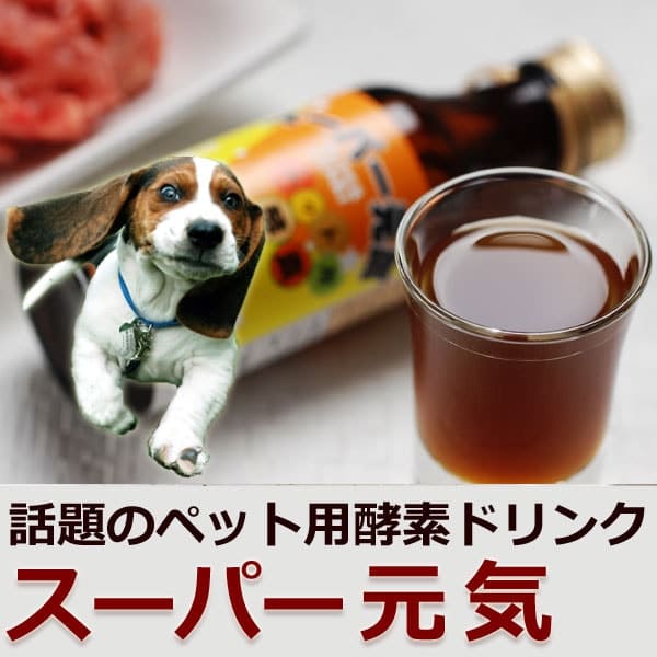 【タイムセール5％OFF】犬用 酵素｜酵素ドリンクスーパー元気　野菜の栄養を凝縮【a0038】【2025ts_g29】