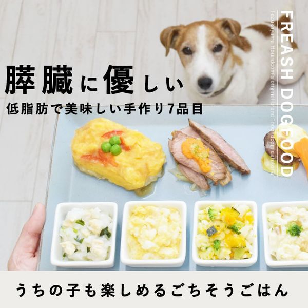 愛犬用手作り食 低リンで腎臓に優しい単品7食Cセット ハウンド
