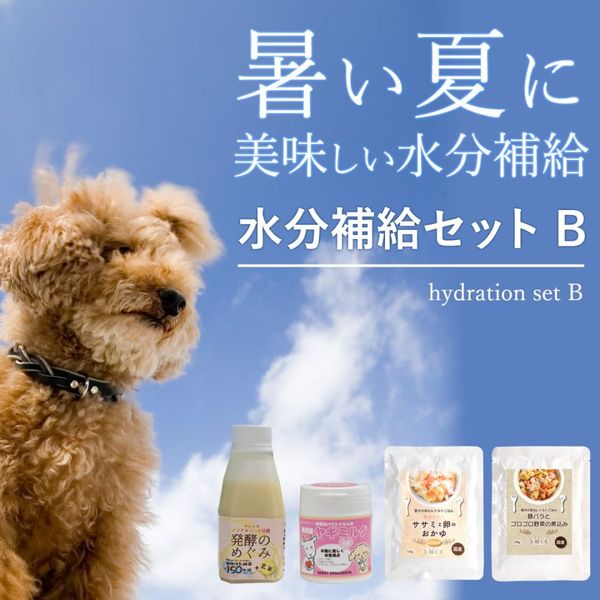 �ڲƸ���۲Ƥ˥ԥå����ʬ��륻�åȣ¡��ﲹ����