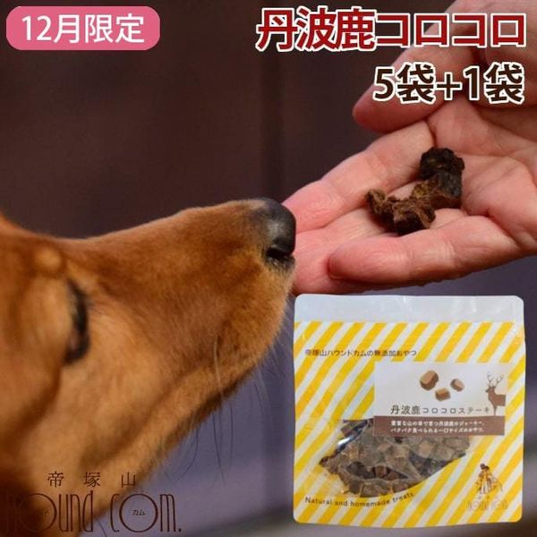 ��12�����۰����Ѥ���ġ���ð�ȼ������������ơ��� 5��+1��