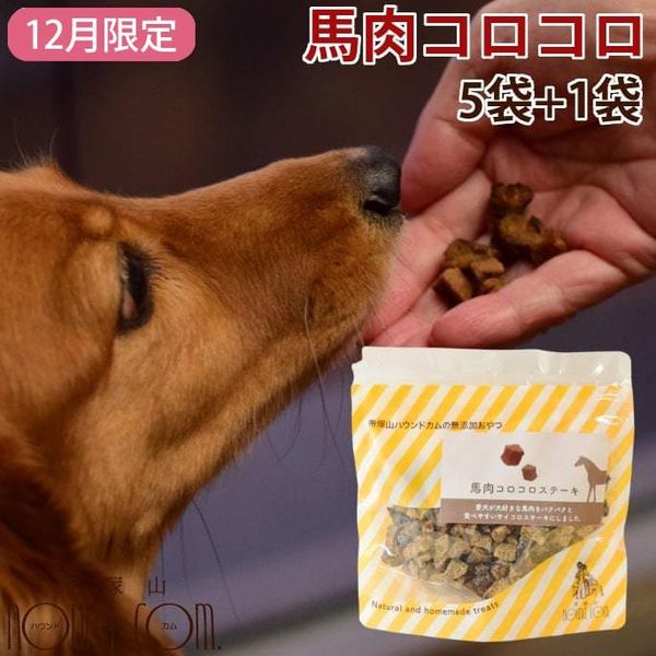 ��12�����۰����Ѥ���ġ������������������ơ�����5��+1�ގ�����