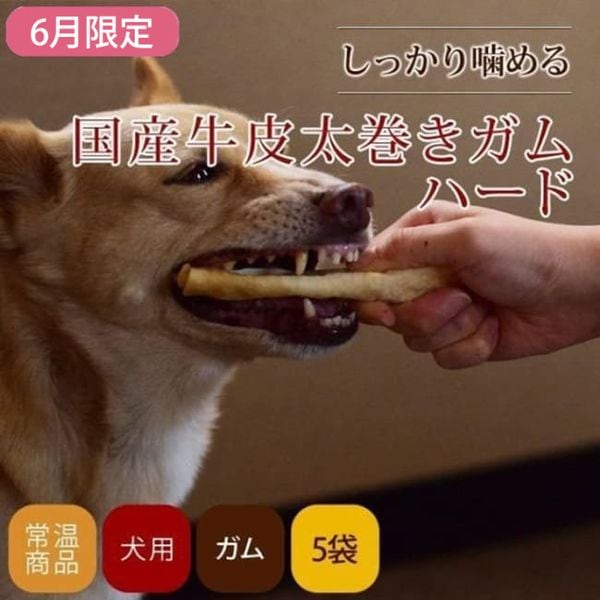 ��6�����۰����ѥ��� �񻺵�������������ϡ��� 5�ޥ��å�+1�ĥץ쥼���