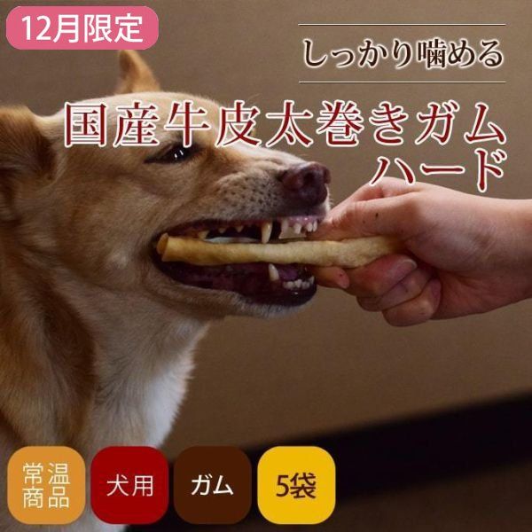 12۰ѥ 񻺵ϡ 5ޥå+1ĥץ쥼