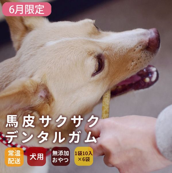 ��6�����۰����ѥ��� ���饵�������ǥ󥿥륬�� 5�ޥ��å�+1�ĥץ쥼���