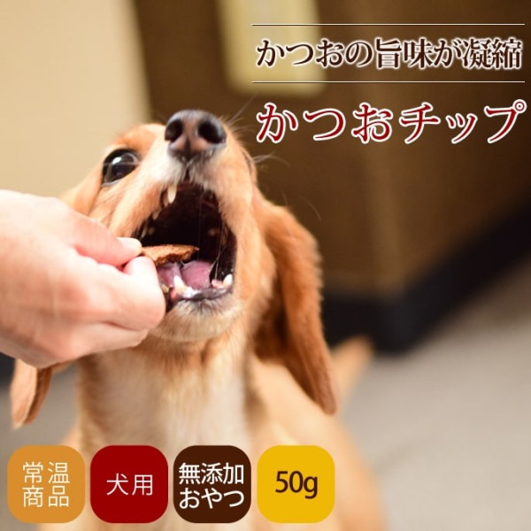 犬用おやつ｜無添加獲れたて かつおチップ|魚のおやつ|犬用無添加おやつ