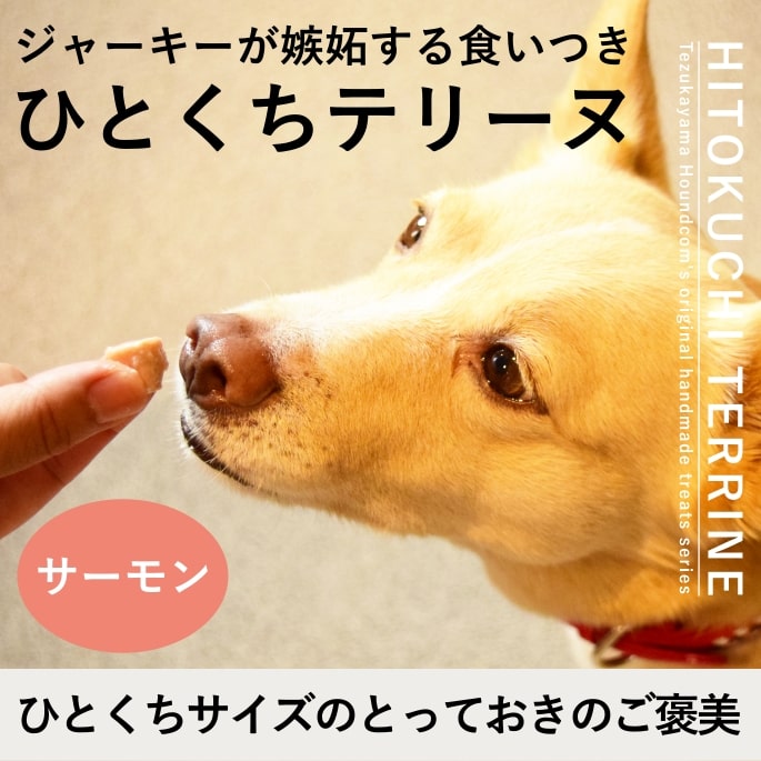 犬猫用無添加おやつ とっておきのひとくちテリーヌ サーモン 100g