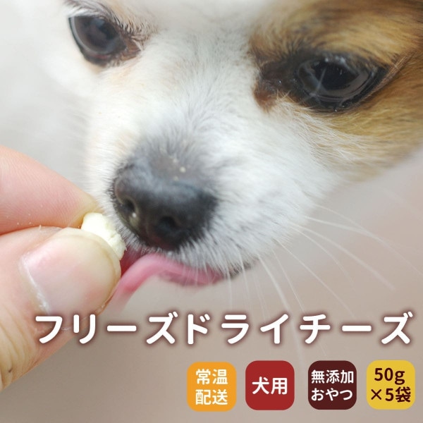 ���Ѥ���ġù񻺥ե꡼���ɥ饤������ �� 5�ޥ��å� �� ����ǭ�ˤ⤴���Ѥ��������ޤ�