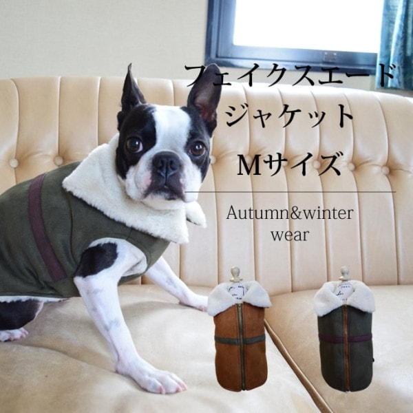 ڰѡߥ եɥե㥱åȡM