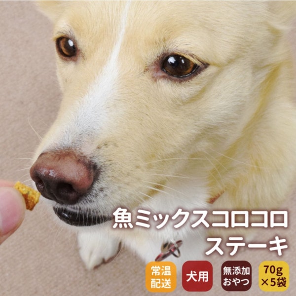 犬用猫用おやつ｜無添加獲れたて 魚ミックスコロコロステーキ （ 5袋セット ） ※愛犬愛猫共用|魚のおやつ|犬用無添加おやつ