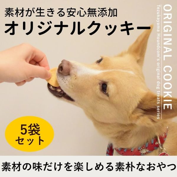 ���ѥ��å����å��ꥸ�ʥ륯�å��� �� 5�ޥ��å� �� ��a0081��