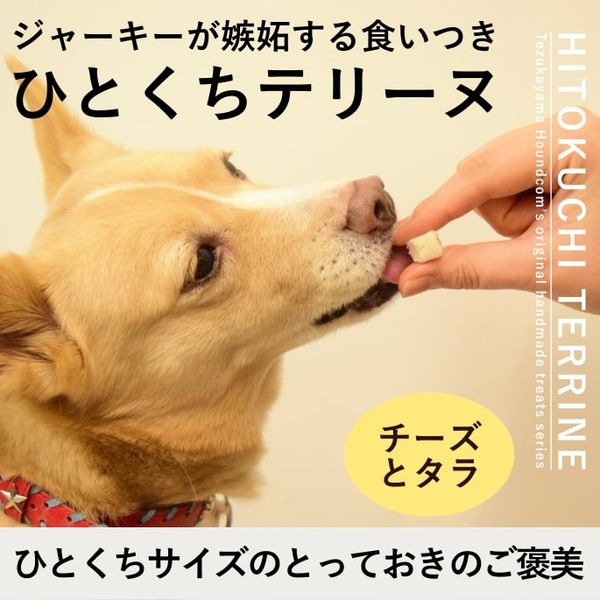 ǭ ̵źä  ȤäƤΤҤȤƥ꡼ ȥ  ڥϥɥ࿩Ʋ 