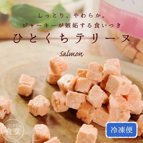【タイムセール5％OFF】犬猫用無添加おやつ とっておきのひとくちテリーヌ サーモン 100g【ハウンドカム食堂】【冷凍】【2025ts_g29】