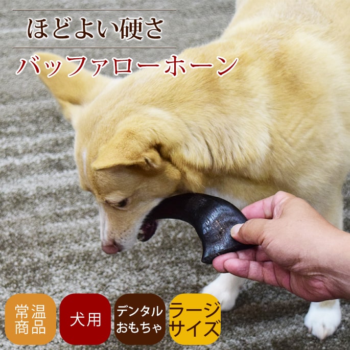 愛犬用 デンタルおもちゃ お米から作ったデンタルチュー Sサイズ