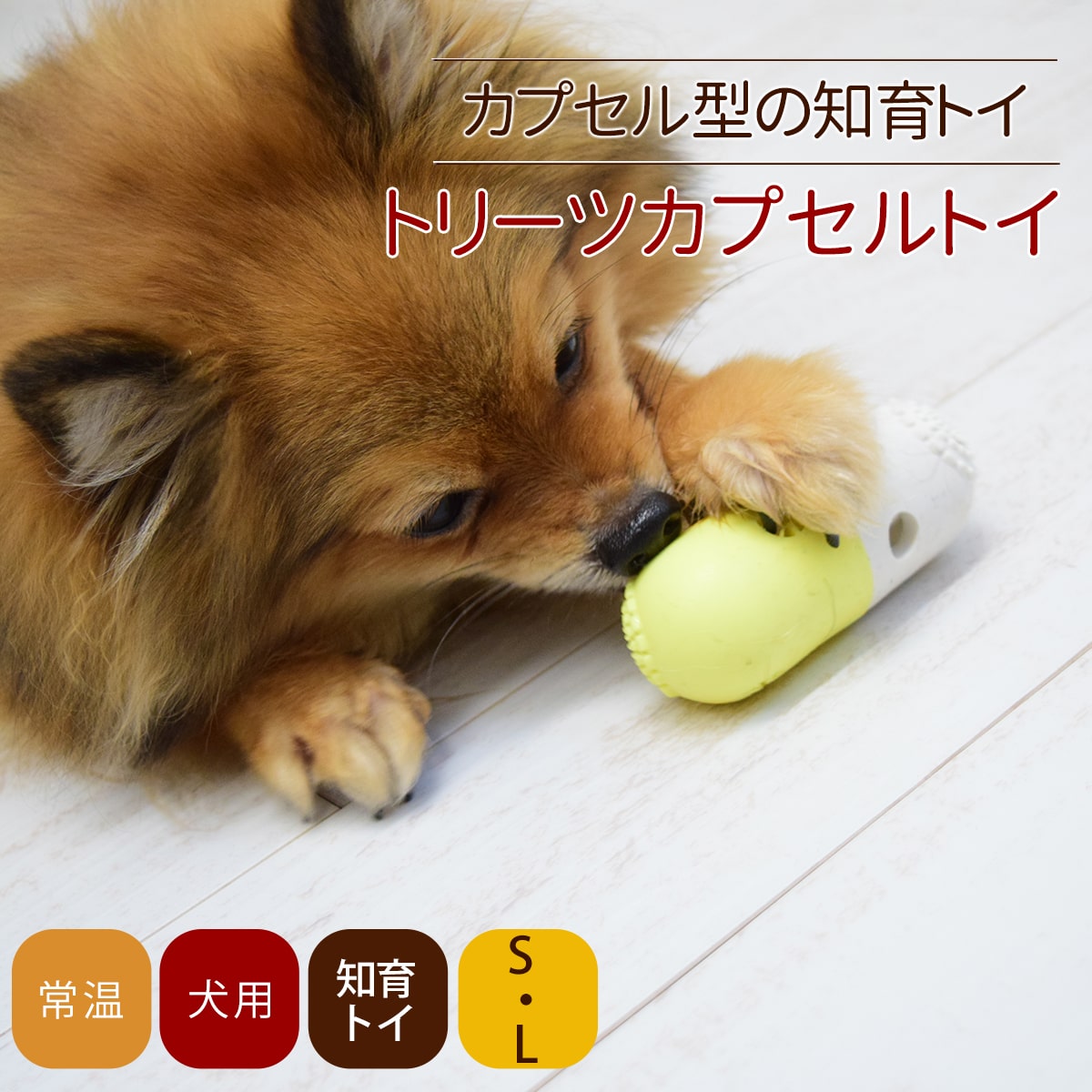 期間限定セール！TIMMY REGISFORD SHELTER 9枚セット 楽天市場】【公式】Brooks Ground Dome Shelter（8kg未満 4