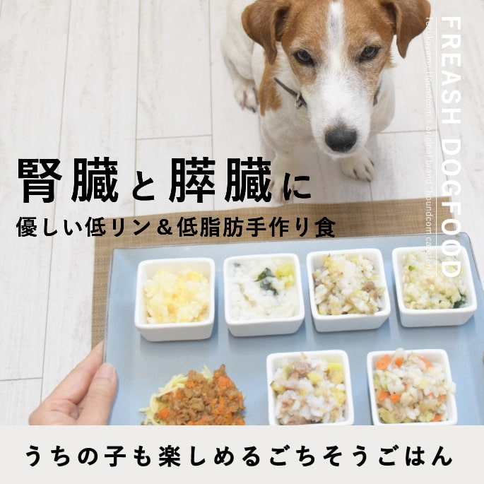 帝塚山ハウンドカム　愛犬用手作り食 腎臓と膵臓に優しい低リン低脂肪セット7品×3 愛犬用手作り食 腎臓と膵臓に優しい低リン低脂肪セット7品目