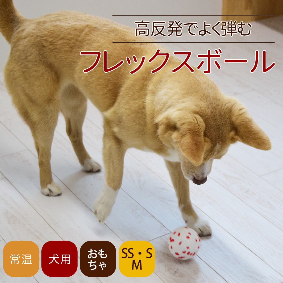 犬用おもちゃ フレックスボール 犬のおもちゃ帝塚山ハウンドカム