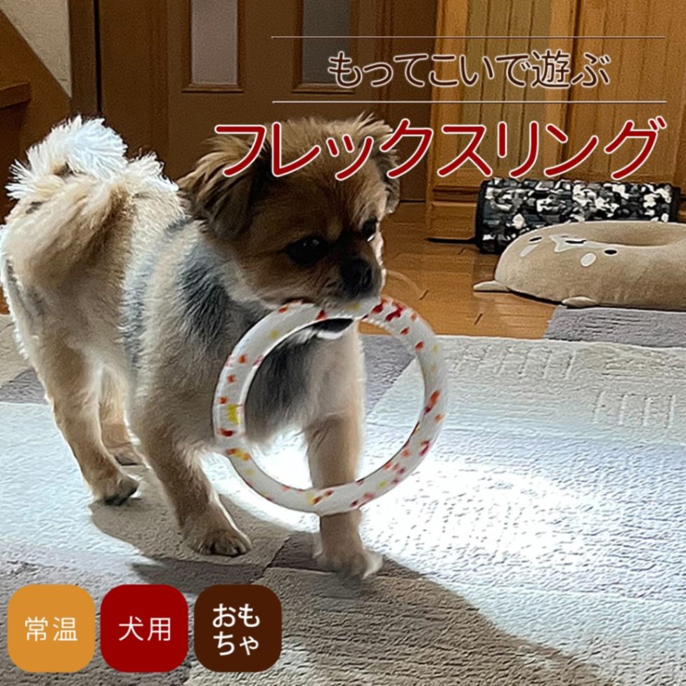 犬　ペット用品 犬用おもちゃ フレックスボール 犬のおもちゃ帝塚山ハウンドカム