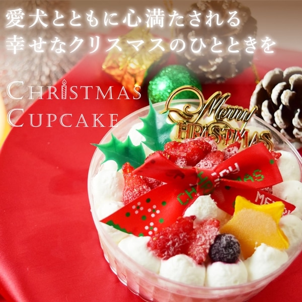 ͽ2024ǯ ꥹޥ ǥ졼󥫥åץ
